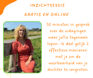 inzichtsessie-website-300x251