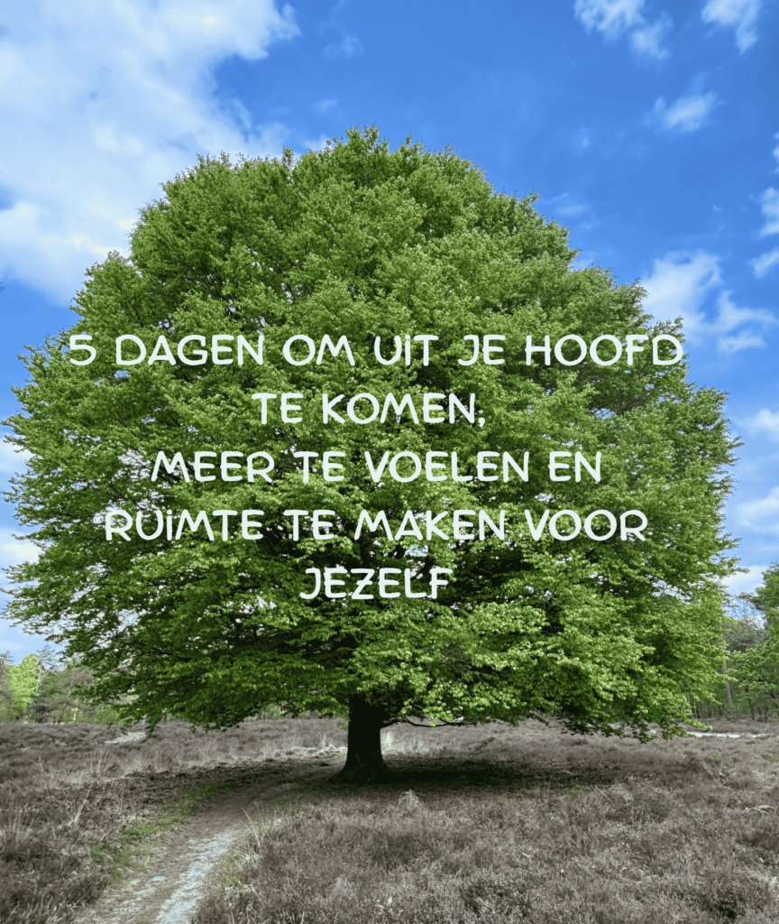 zomeractie moeders gevoelige kinderen